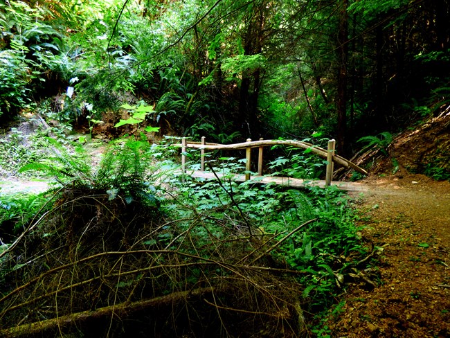 Sendero