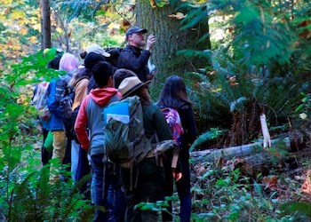 Estudiantes caminando junto a un maestro admiran el bosque que los rodea.