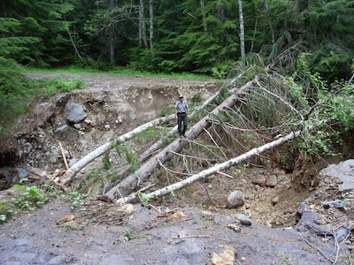 Una profunda zanja corta una carretera, llena de árboles caídos.  Un guardaparque aparece de pie sobre uno de los troncos, dando una idea de escala.