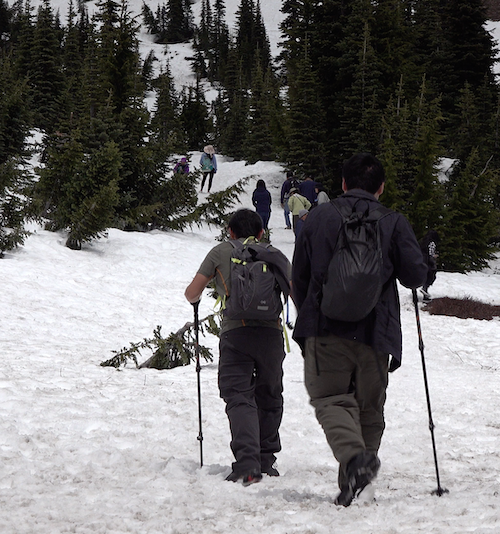 Dos excursionistas con bastones de trekking y mochilas siguen a otras personas por una pendiente nevada.
