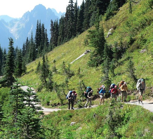 Varios excursionistas con grandes mochilas caminan por un sendero a través de prados subalpinos.