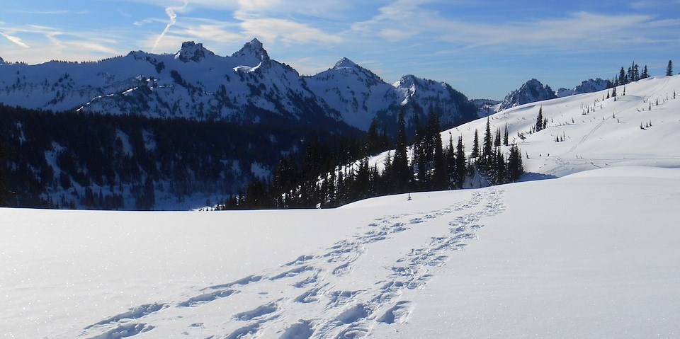 Huellas dejadas por raquetas de nieve atraviesan una pendiente nevada hacia un macizo de picos rocosos.