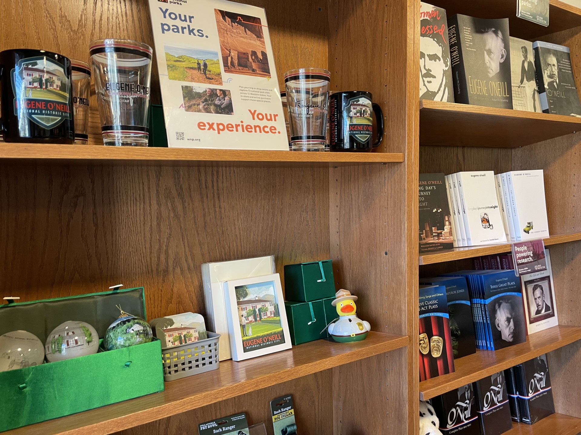 Books about Eugene O'Neill on shelf with coffee mugs