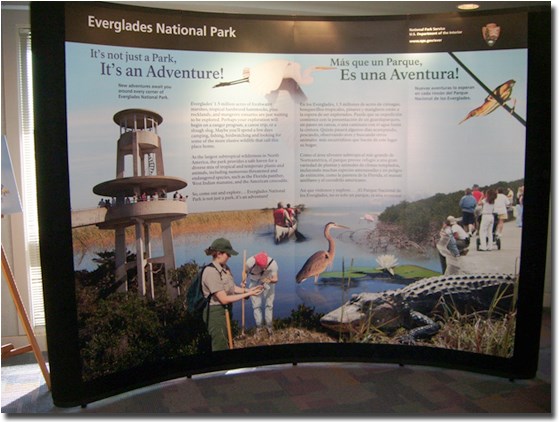 Everglades Large Wall Display