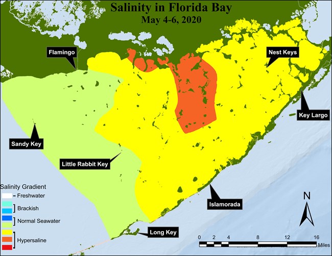 Salinity of Florida Bay in May 2020 Map of Florida Bay with salinity levels shown in different colors. Email nps_science_comm@nps.gov for more info.