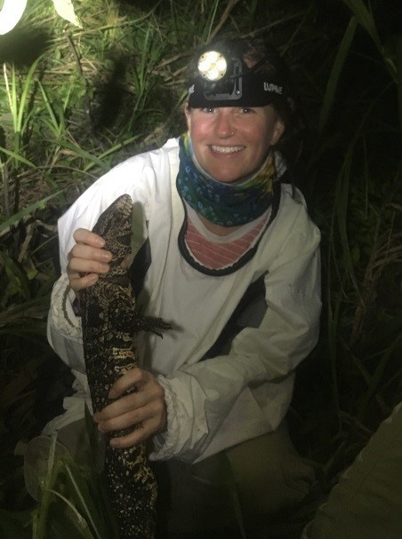 Holding tegu