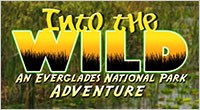 Into the Wild