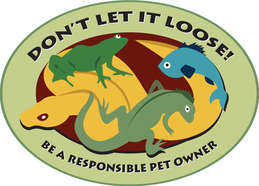 don't let it loose articcle