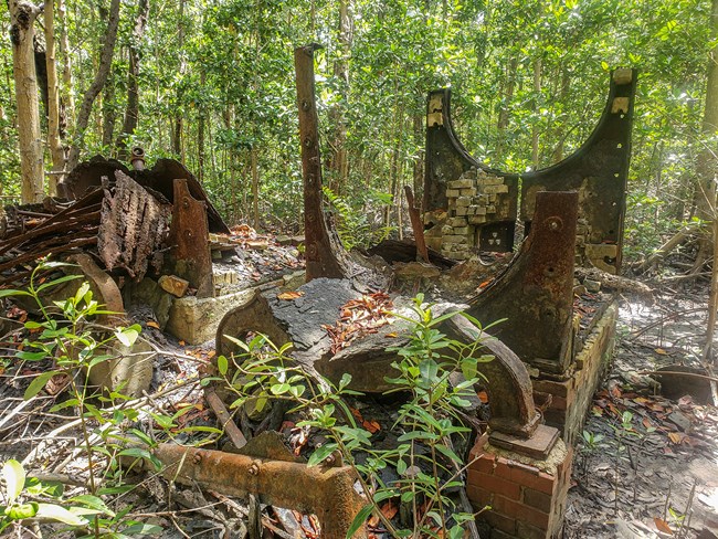 Ruin of a brick structure and rusted metal surrounded by dense, green vegetation.