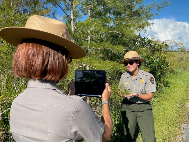 Park Ranger being filmed, holding cypress needles up to the camera
