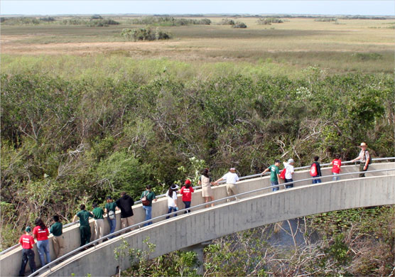 Shark Valley Day Program - Everglades National Park (U.S 