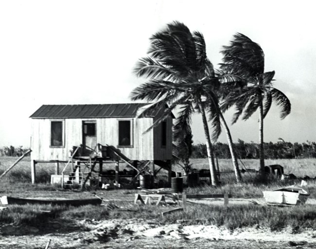Homes in Everglades coastal communities.