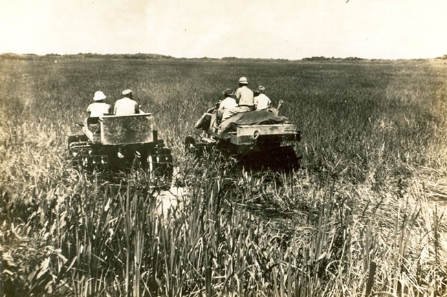 Gladesmen in a swamp buggy