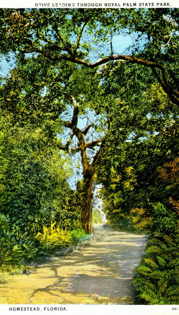 postcard of Old Ingraham Highway postcard of Old Ingraham Highway
