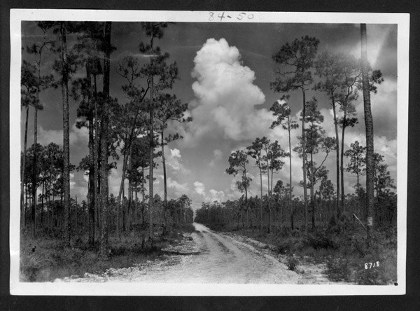 Royal Palm State Park