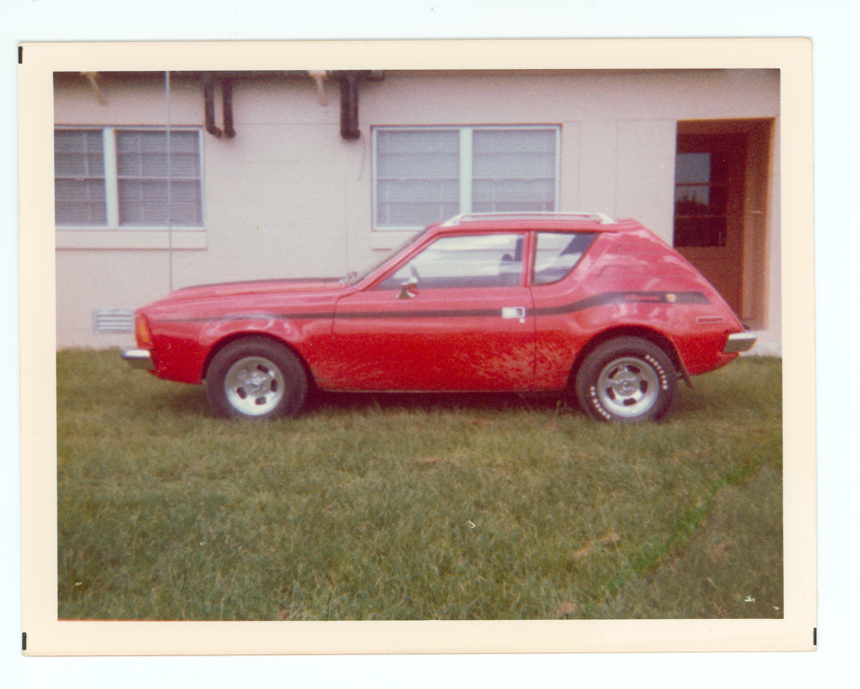 Rusty's gremlin_with pink walls