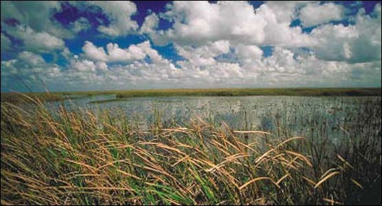Welcome to Everglades National Park