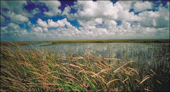 Welcome to Everglades National Park Welcome to Everglades National Park