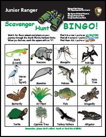 Everglades Junior Ranger Activity Book