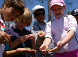 Kids touching periphyton