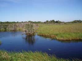 Freshwater Slough Freshwater Slough