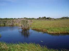 Freshwater Slough