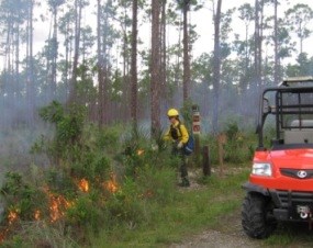 Firefighter Setting Prescribed Fire