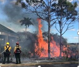 Firefighters conduct prescribed burn around park headquarters.