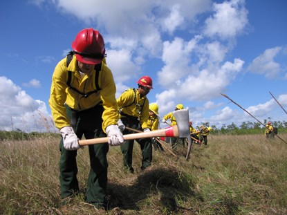 Web_Digging Line