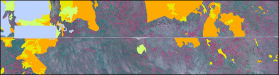 Burn History Map of the Big Cypress National Preserve