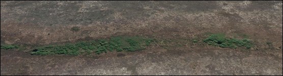 Aerial View of Vegetation in Taylor Slough Looking East