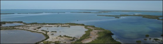 Aerial View of Florida Bay