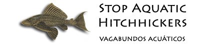 Aquatic Hitchhikers Banner