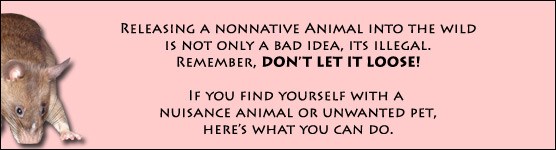 Here's What You Can Do With Unwanted Pets or Nuisance Animals Here's What You Can Do With Unwanted Pets or Nuisance Animals