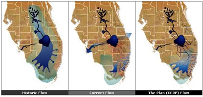 Restoration Flow Maps