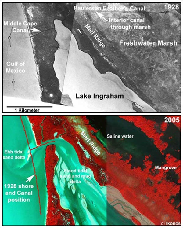 Expansion of Middle Cape Canal, retreat of the shoreline, and conversion of freshwater marsh to saline water and mangroves from 1928 to 2005