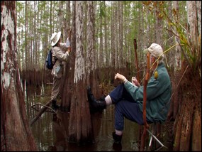 Kathleen and Dick Konicek-Moran doing botanical art research