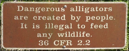 Please don't feed the wildlife sign