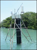 Duck Creek monitoring station in Florida Bay