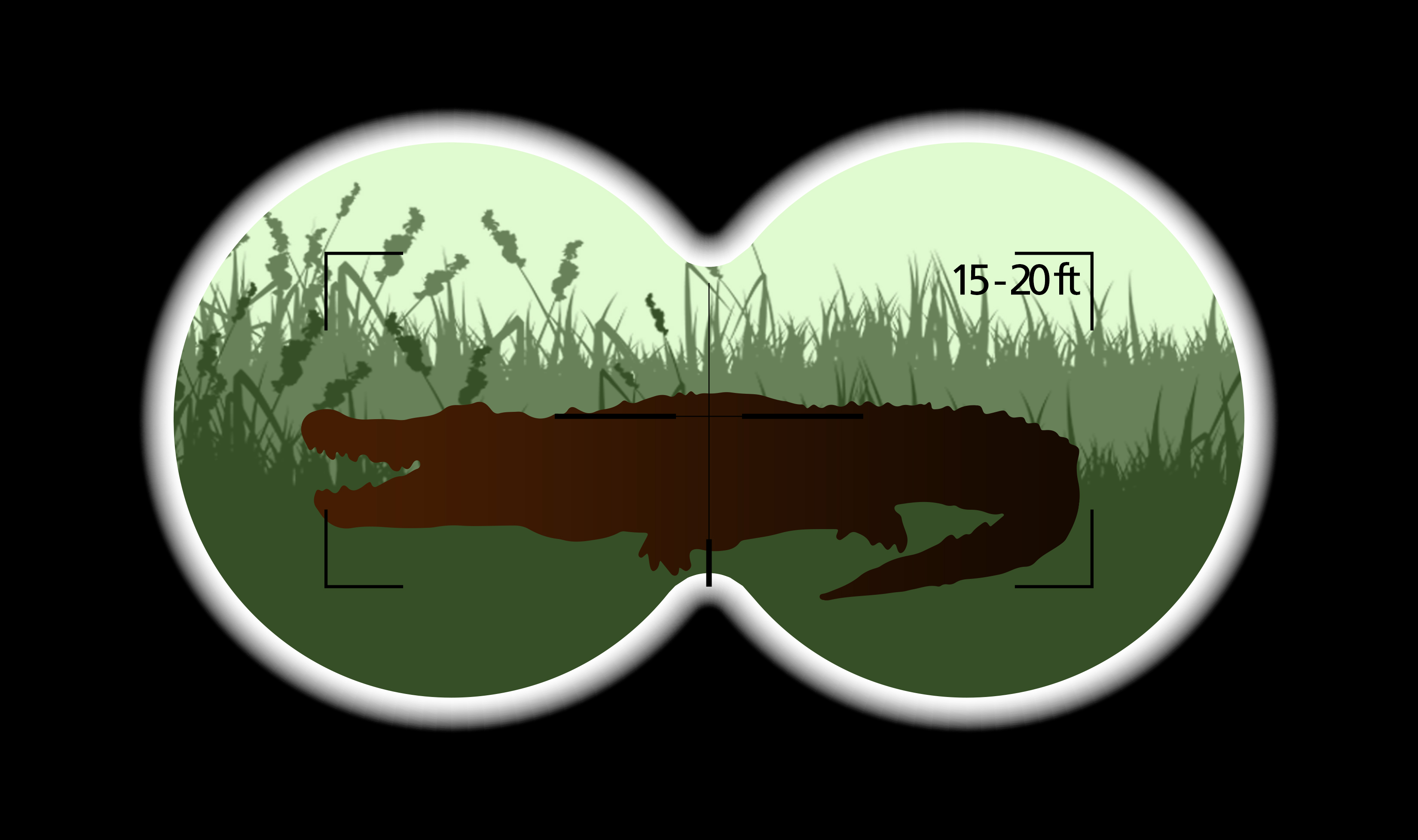 Native wildlife in Everglades National Park