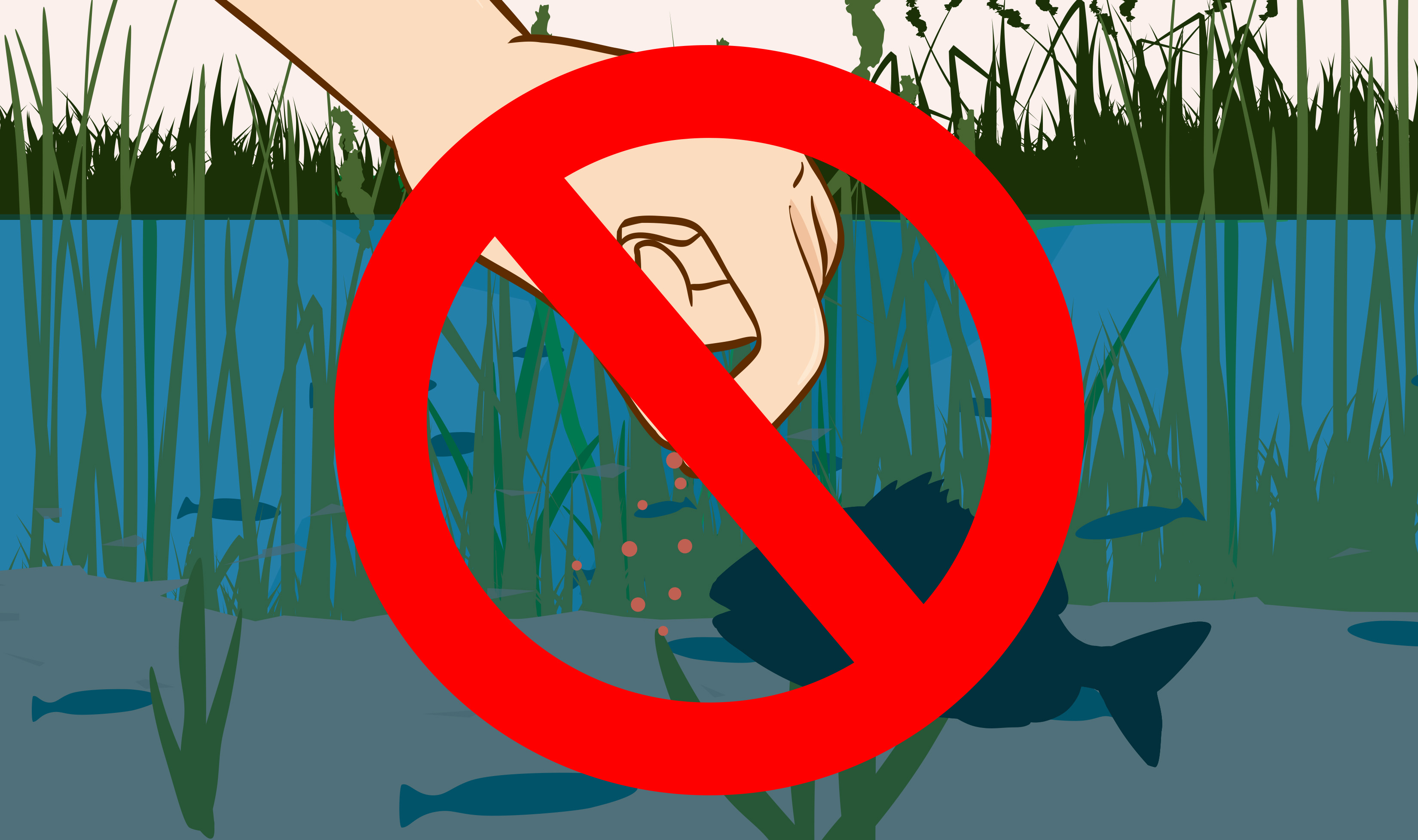 Wildlife - Everglades National Park (U.S. National Park Service)
