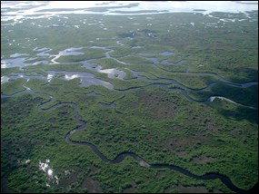 Everglades backcountry