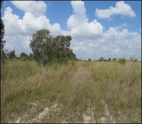 East Everglades Expansion Area boundary