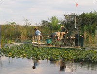 Electrofishing along the Tamiami Trail