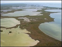 Basins in Florida Bay Basins in Florida Bay