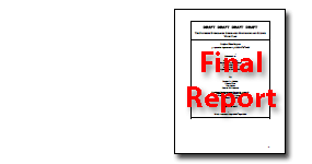 Final Report Image
