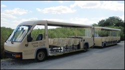 photo of the biodiesel trams at shark valley