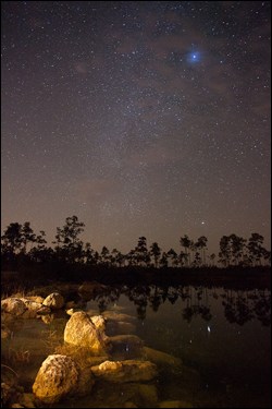 Starry skies over the Pinelands
