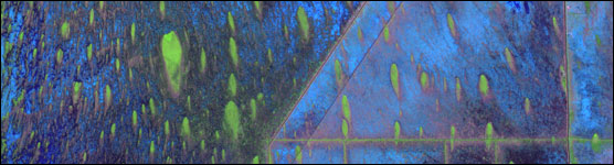 Aerial View of Ridge