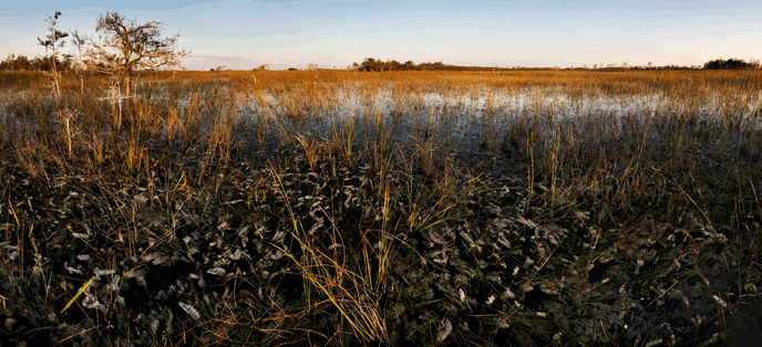 MOD08-5slough